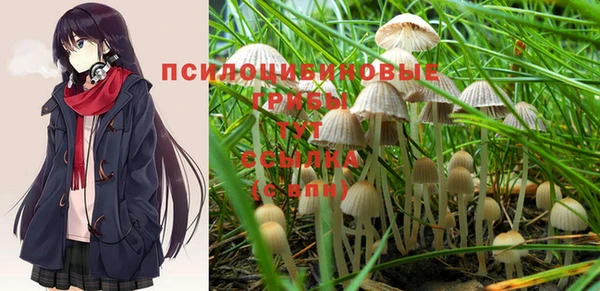 ешки Алексеевка