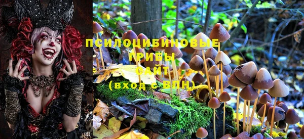 ешки Алексеевка