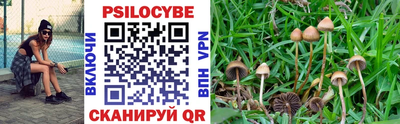 Купить где  Солигалич  Галлюциногенные грибы Psilocybine cubensis 